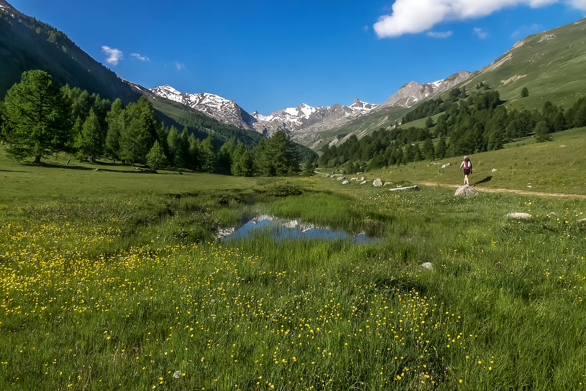 camping au coeur des alpes