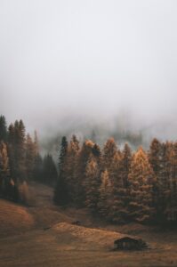 automne dans les Hautes-Alpes