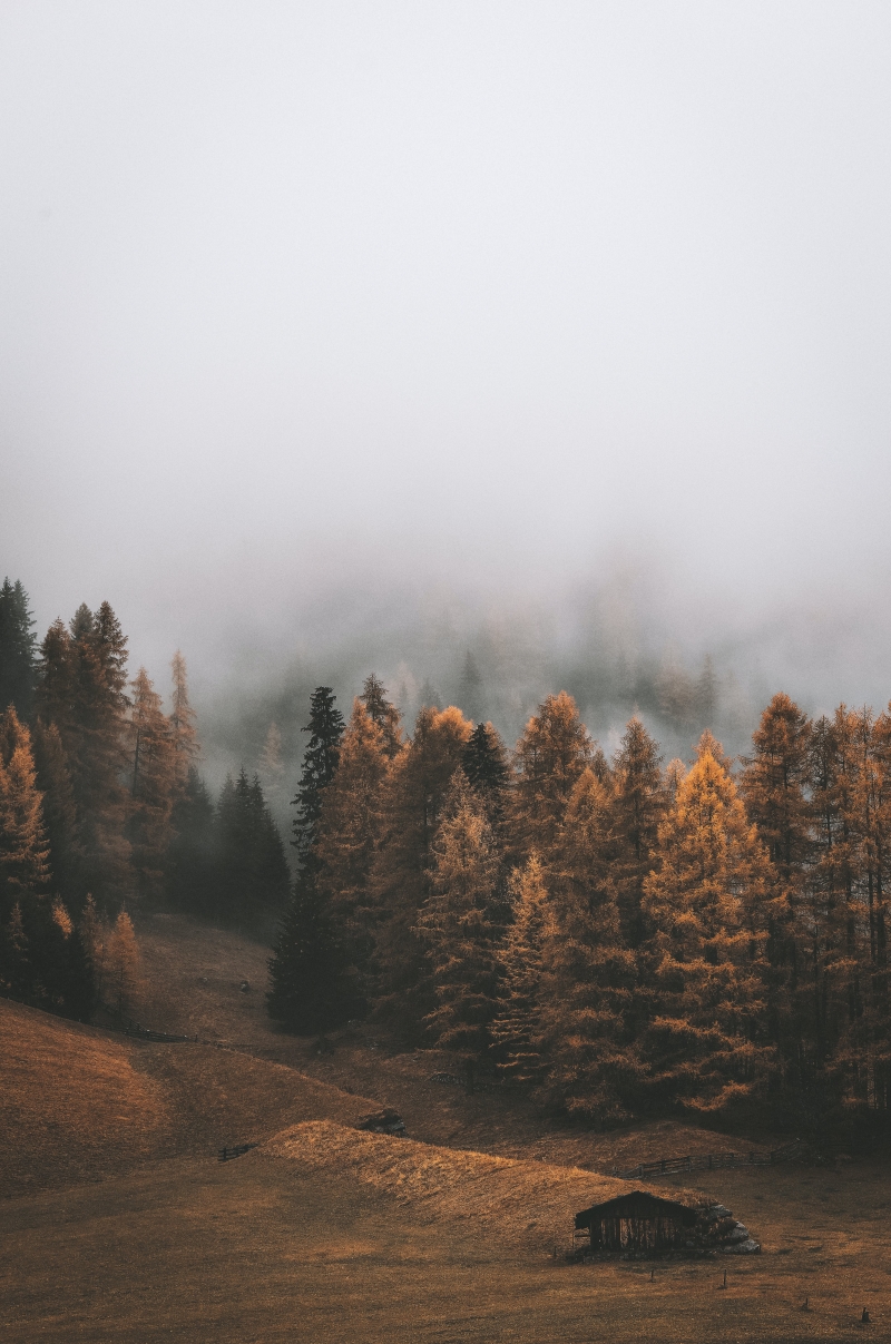 automne dans les Hautes-Alpes